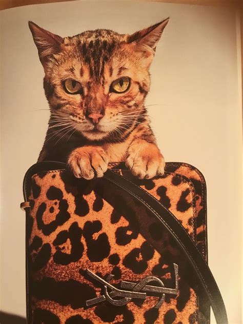 cat print louis vuitton fake